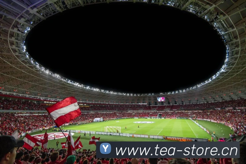 多媒体互动体验